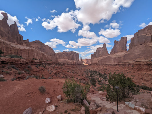 Arches National Park 30x20 poster board